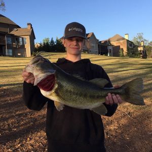 Meet your Posher, Alex